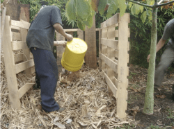 Compost con hojas secas