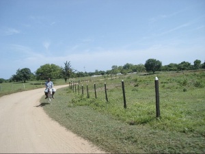 Carretera, al fondo el cementerio y a los lados tierras usadas para la ganadería.