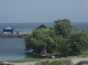 Los manglares tienen raices aéreas, las casas pueden también tenerlas.